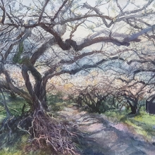 -大美無言藝術空間